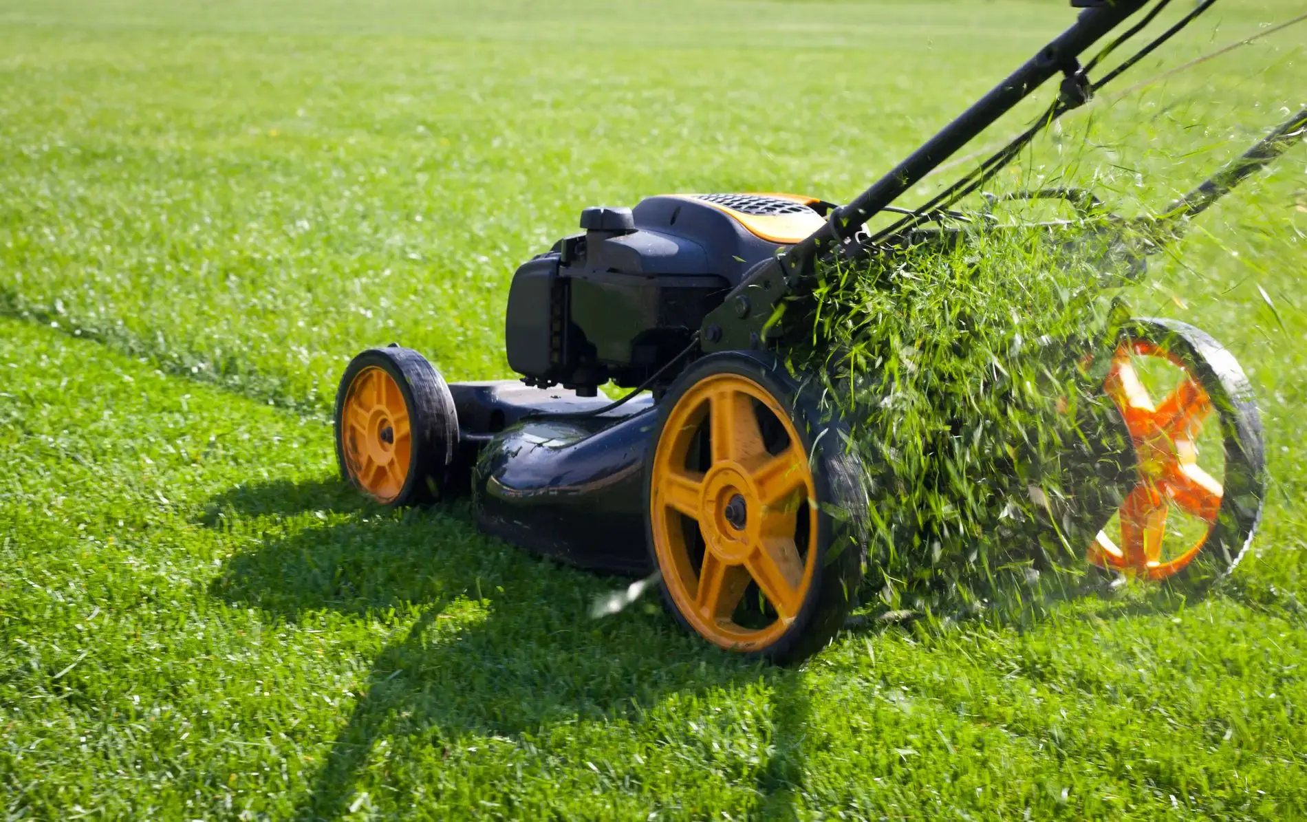 Au secours, l&rsquo;herbe pousse! Procurez-vous une bonne tondeuse à gazon essence pour garder une belle pelouse! 
