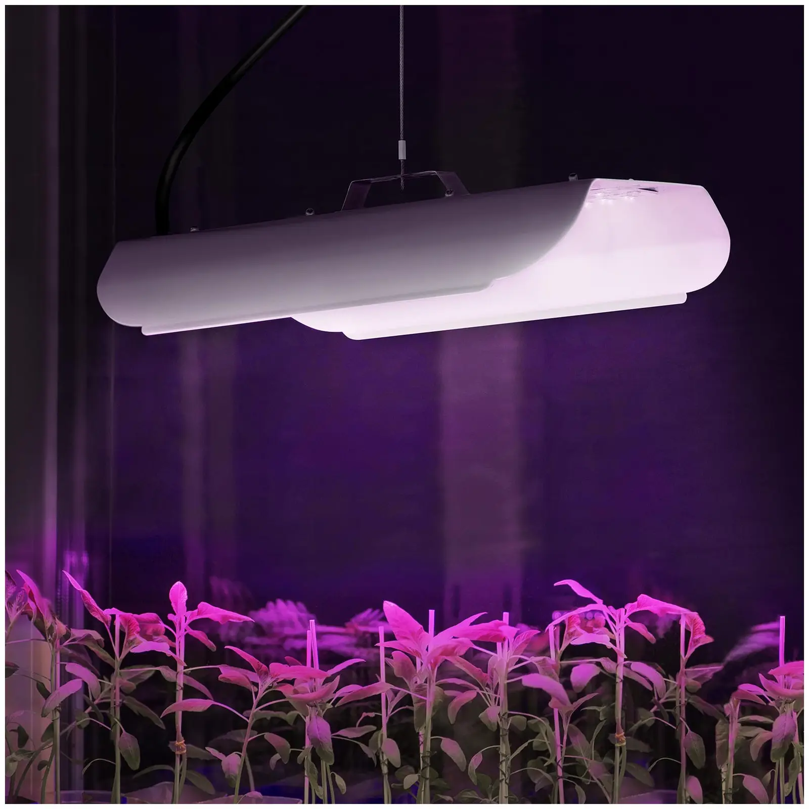 Lampe LED pour plante - Spectre complet - 100 W - 136 LED - Fiche Euro