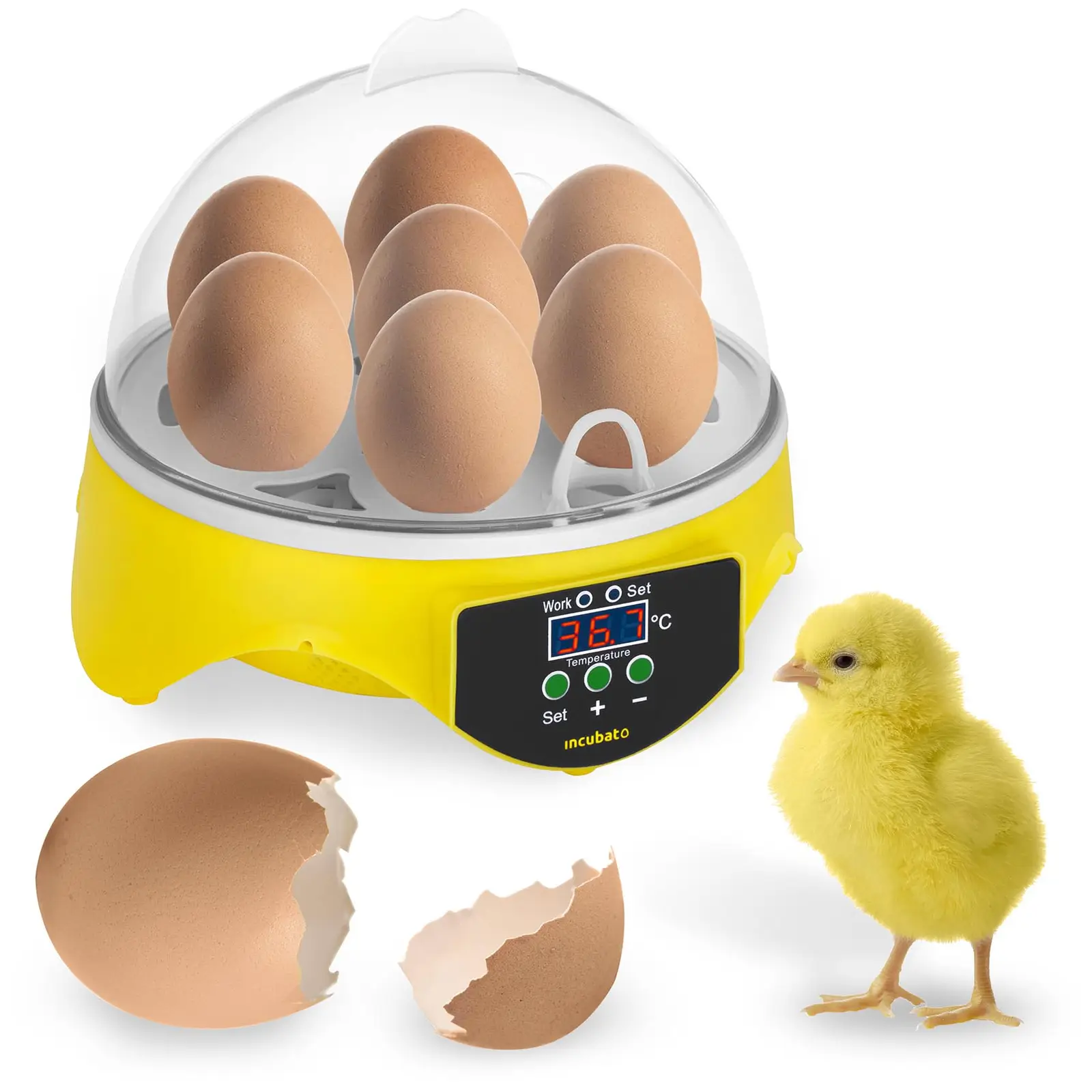 Couveuse à œufs - 7 œufs - Mire-œufs inclus